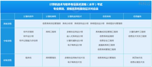 计算机技术与软件专业技术资格解析及软件开发应用