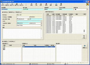 数字化浪潮下的会计软件 从系统开发到企业应用的全面解析